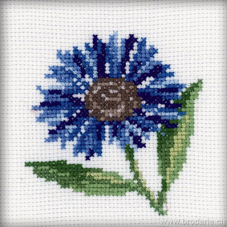 RTO, petit kit bleuet (RTOH171)