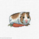 RTO, petit kit Cavy with carrot (RTOH261)
