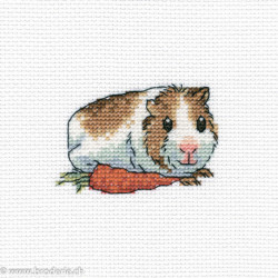 RTO, petit kit Cavy with carrot (RTOH261)