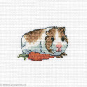 RTO, petit kit Cavy with carrot (RTOH261)