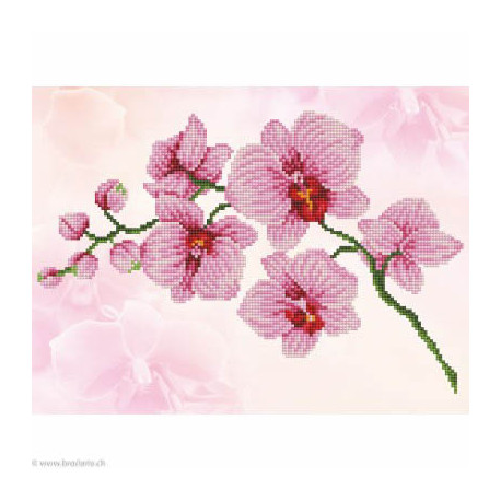 Diamond Dotz, kit diamant niveau 2 Orchid Spray (DD6034)