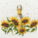 Bothy Threads, kit Sunshine (BOXHD44)