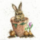 Bothy Threads, kit The Flower Pot (BOXHD76)
