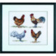 Permin, kit Poules et coqs (PE12-6422)