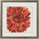 Permin, kit Dahlia (PE70-1153)