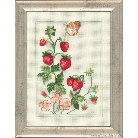 Permin, kit fraisier et papillon (PE92-9169)