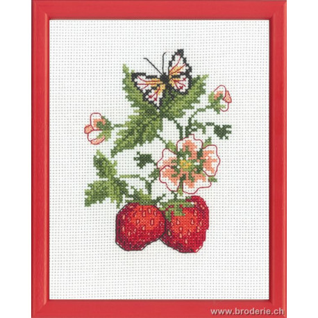 Permin, kit fraisiers (PE92-9164)