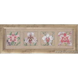 Permin, kit les 4 orchidées (PE70-5125)