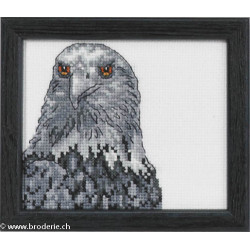 Permin, kit tête d'aigle (PE14-4134)