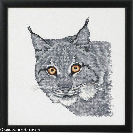 Permin, kit Tête de linx (PE70-4113)