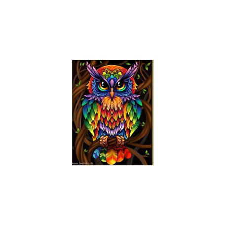 Artibalta, kit diamant Rainbow Owl (AM-1726)