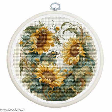 Luca-S, kit Sunflower (LUCASBC202)