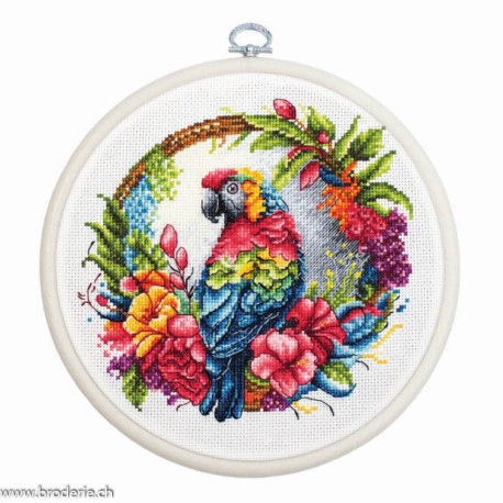 Luca-S, kit The Tropical Parrot (LUCASBC201)