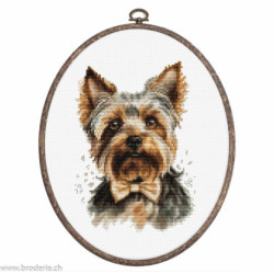 Luca-S, kit The Yorkshire terrier (LUCASBC228)