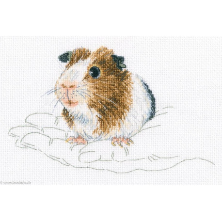 RTO, kit In Palms Cochon d'Inde (RTOM817)