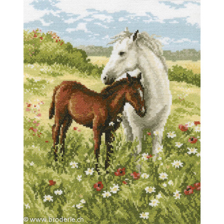 RTO, kit Tenderness (RTOM326)