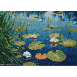 Oven, kit Clean Ponds (OV1610)