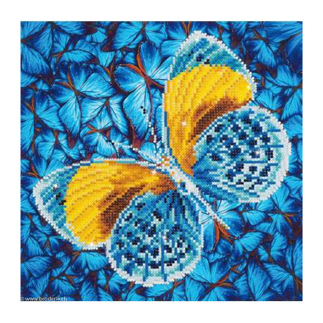 Diamond Dotz, kit diamant niveau 2 - PAPILLON DORE (DD5016)