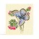 RTO, kit Butterfly on the dainty flower (RTOM749)
