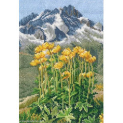 Rto, kit In the moment (RTOM965)