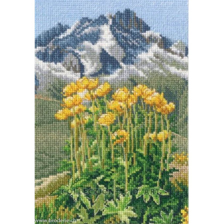 Rto, kit In the moment (RTOM965)