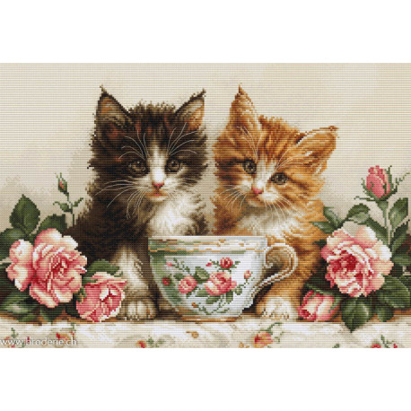 Luca-S, kit Morning of the Cats (LUCASBU5070)