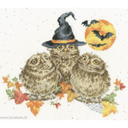 Bothy Threads, kit Happy Owl-O-Ween (BOXHD145)