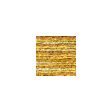 DMC Variation, échevette numéro 4073 (VAR4073)