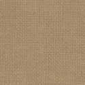Zweigart, Aïda 20, 8 points/cm beige (3326-309)