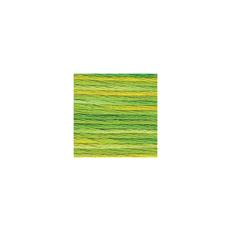 DMC Variation, échevette numéro 4069 (VAR4069)