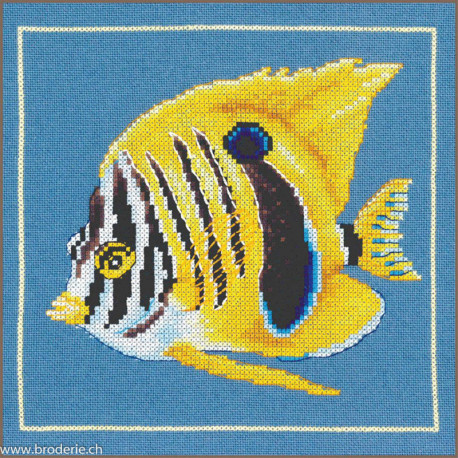Lanarte, kit Poisson Zébre jaune (LA0215385)