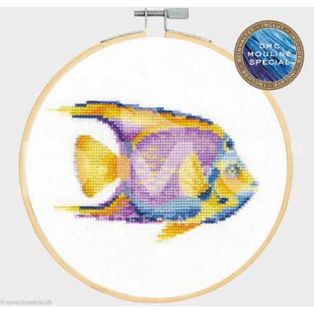 DMC, kit Poison tropical (DMC-BK1875)