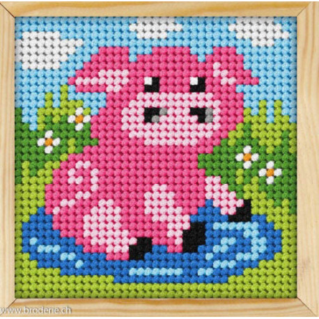 Orchidea, kit enfant cochon (OR6719)