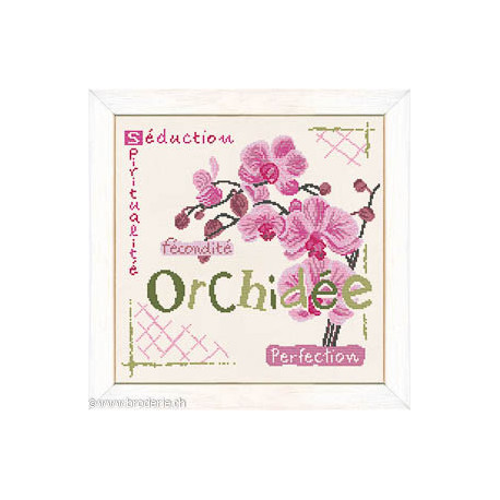 LiliPoints, Grille Côté jardin - Orchidées (J002)