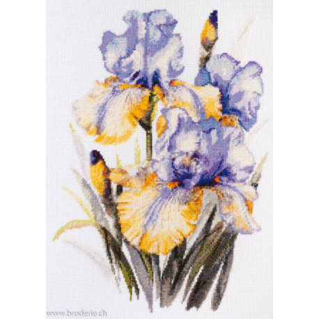 Abris Art, kit Irises (AAH-142)
