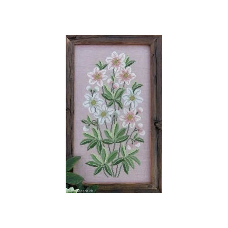 Renato Parolin, grille Jolaros (PA33-10)