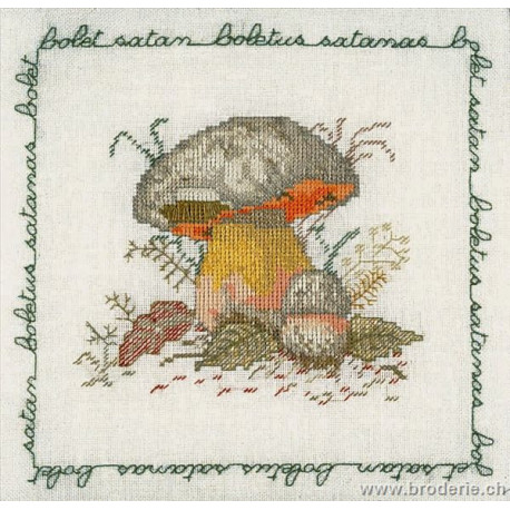 Bonheur des Dames, kit bolet sata (BD1686)