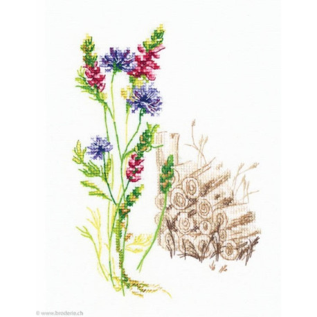 RTO, kit Bloomy herbs (RTOM778-T)