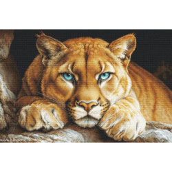 Luca-S, kit The Wild Spirit (LUCASBU5081)