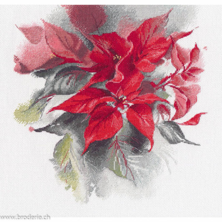 Oven, kit Poinsettia (OV1670)