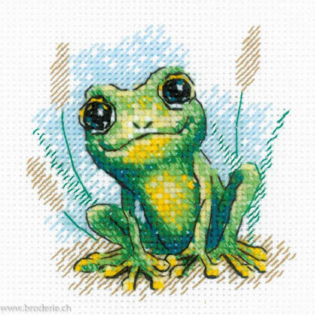 Riolis, kit Little Frog (RI2286)