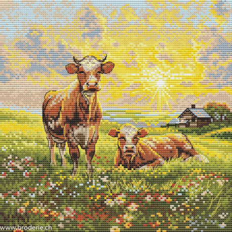 Andriana, kit In the meadow (SANN-39)