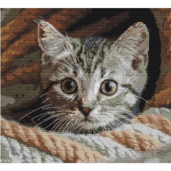 Andriana, kit Spy (SANU-10)