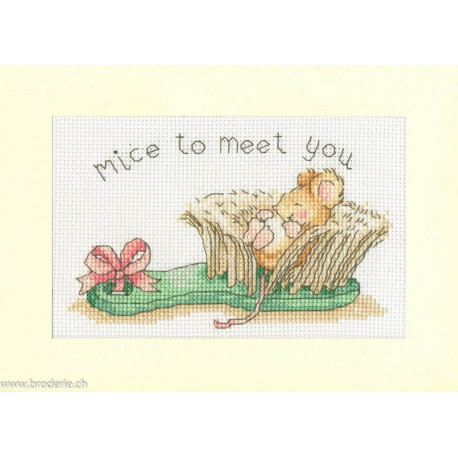 Bothy Threads, kit carte de voeux Mice To Meet You (BOXGC65)