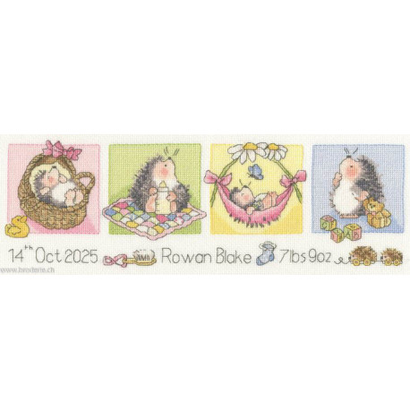 Bothy Threads, kit naissance Little Hoglet (BOXMS44)