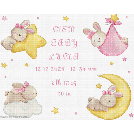 LetiStitch, kit BabyGirl record (SLETIL9943)