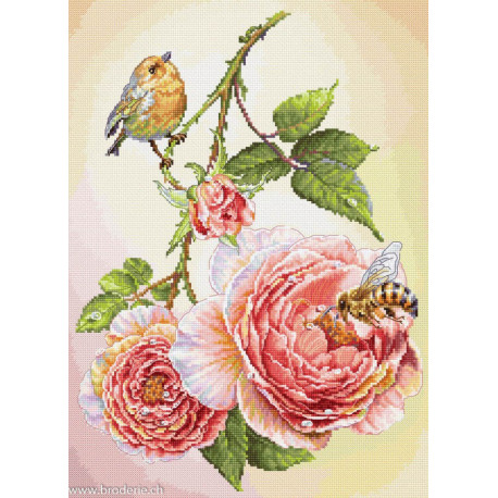 Luca-S, kit Breakfast (LUCASB7053)