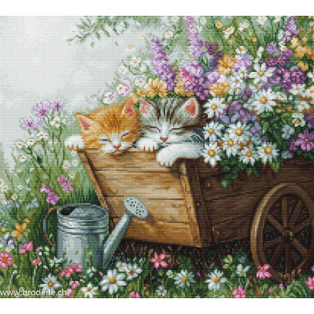 Luca-S, kit Sleeping Kitten (LUCASBU5093)