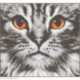 Vervaco, kit Cat close up (PN0205401)