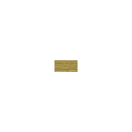 DMC mouliné N° 370 (DMC370)